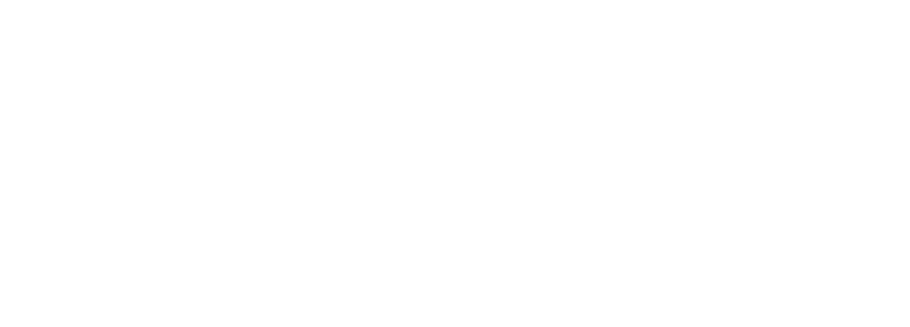 insightly logo
