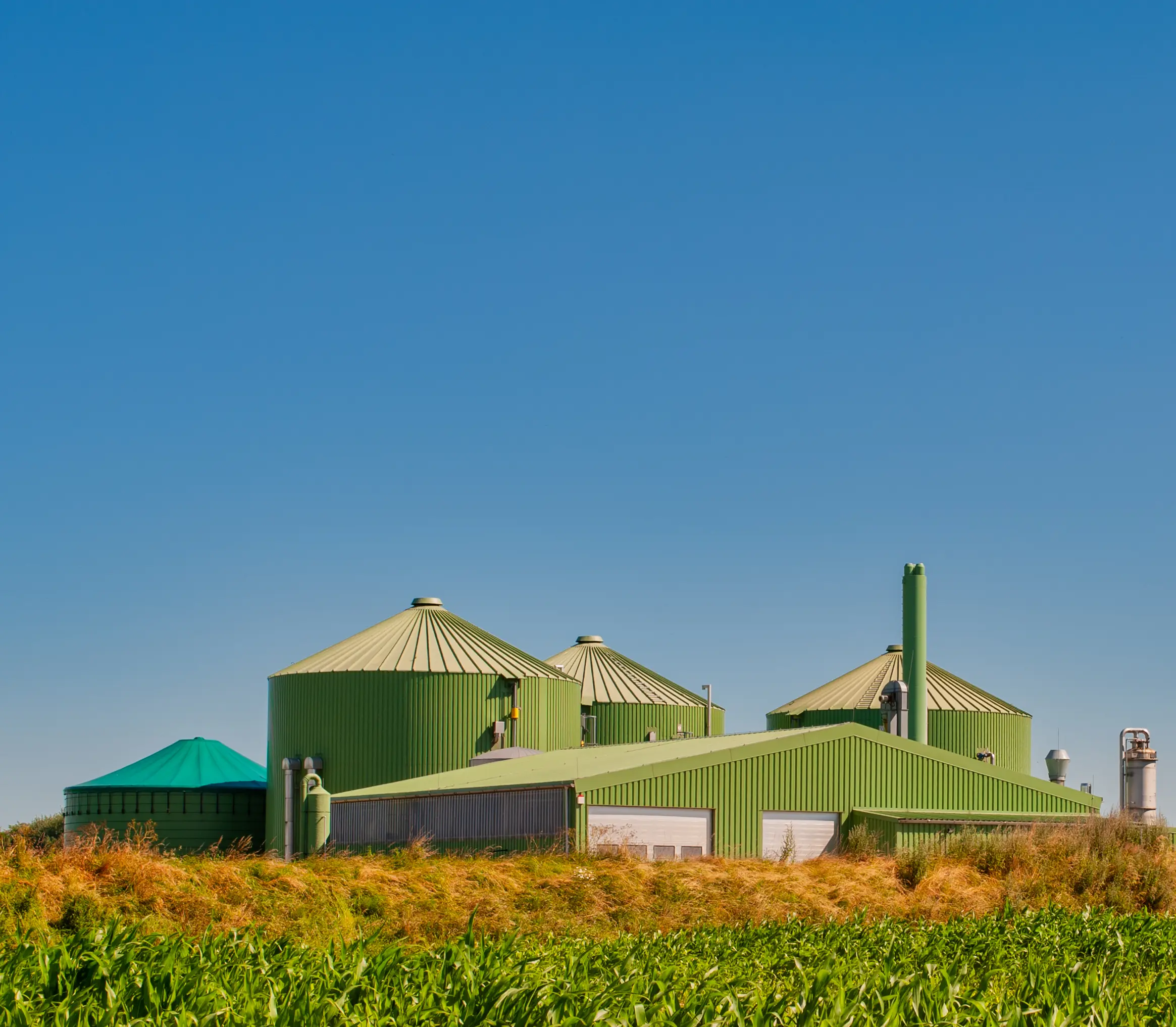 Biogas Plant