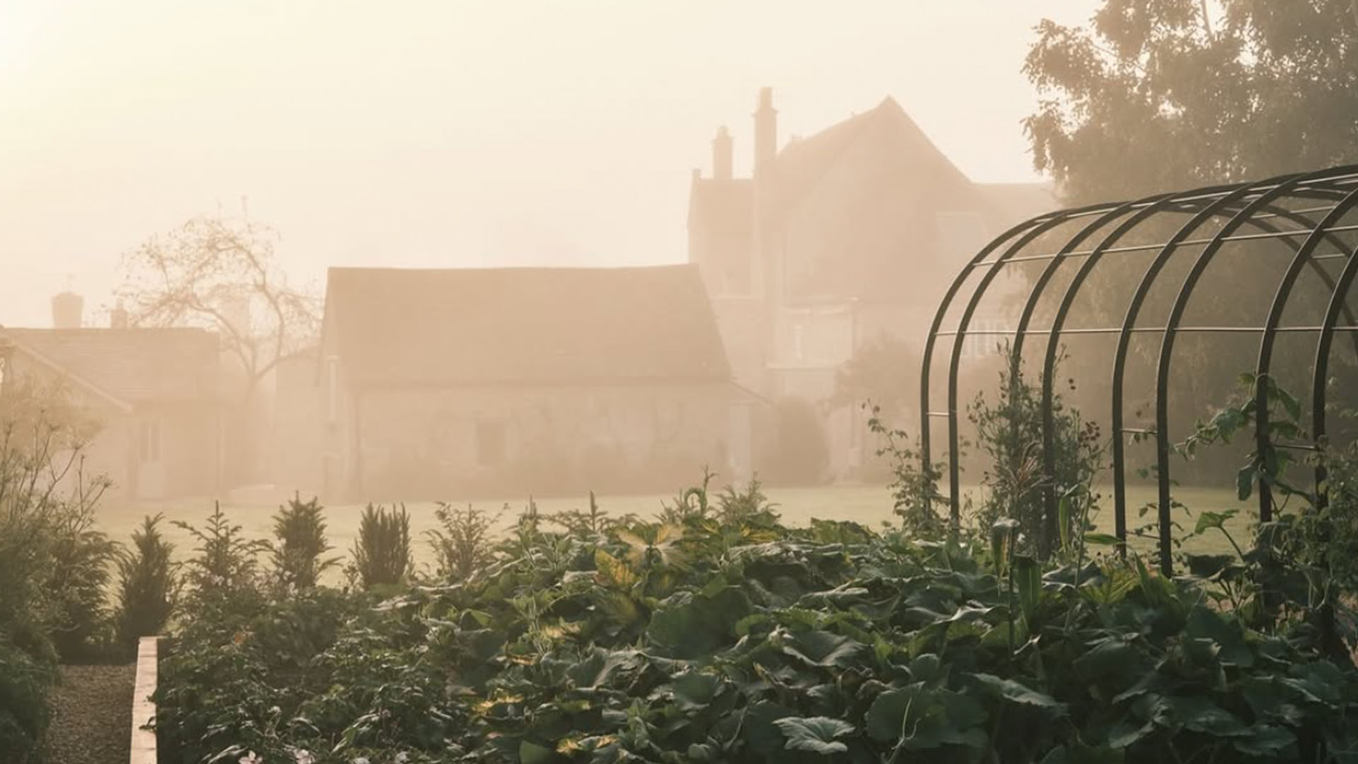 collage of Grove home imagery