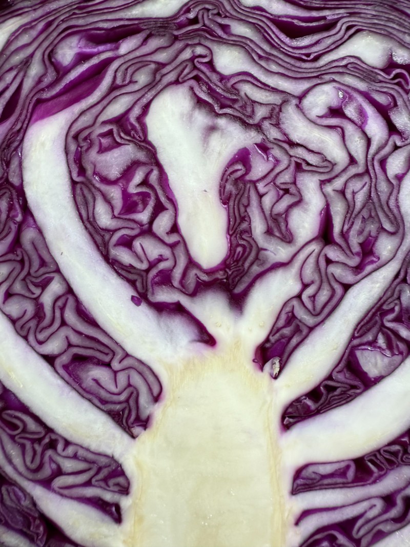 red cabbage