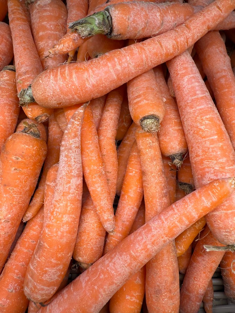 pile of carrots