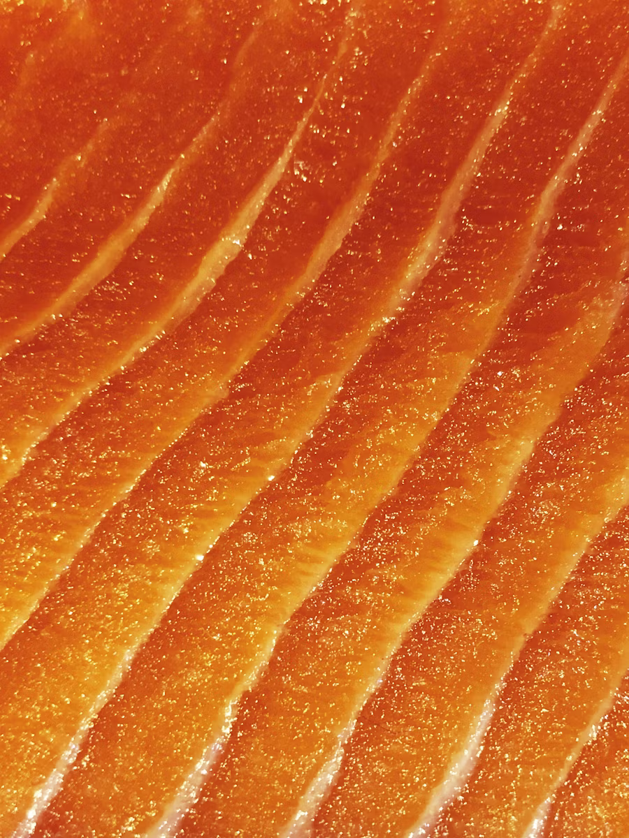 salmon fillet