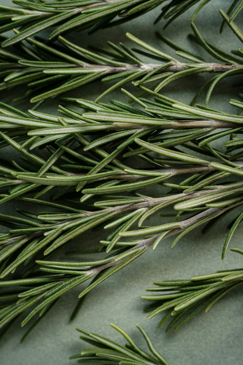 rosemary sprigs