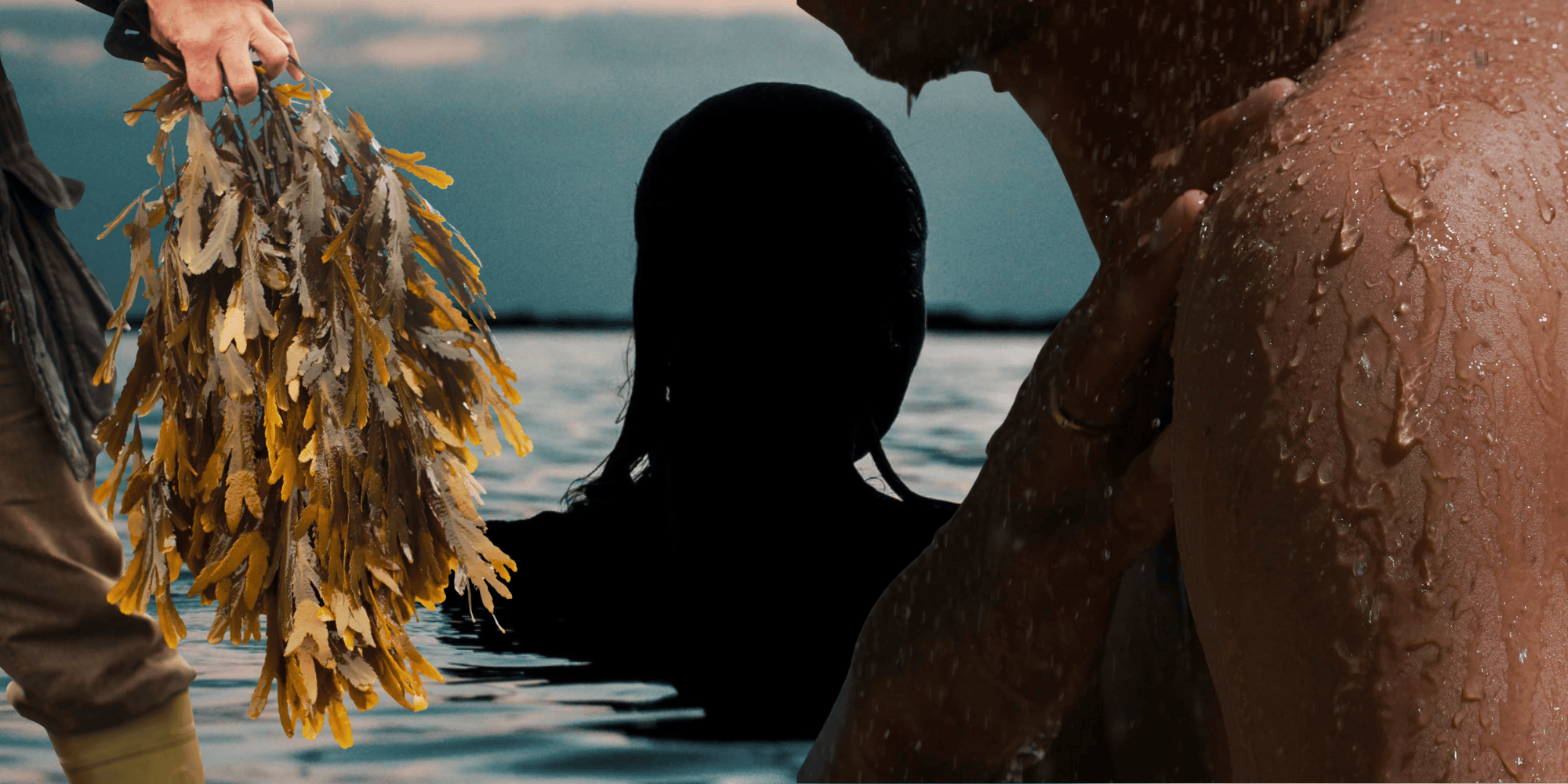 collage of OMALY seaweed products and models