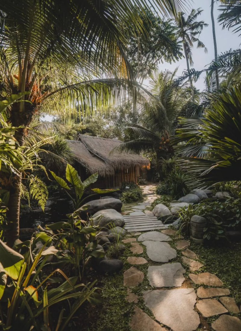 The Seed Bali forest