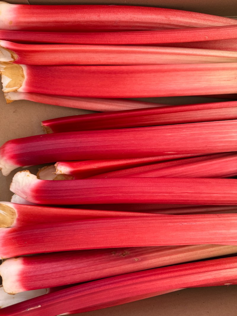 rhubarb stems