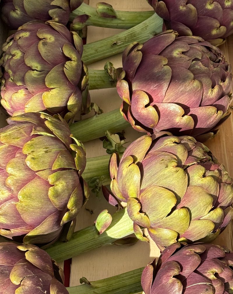 artichokes