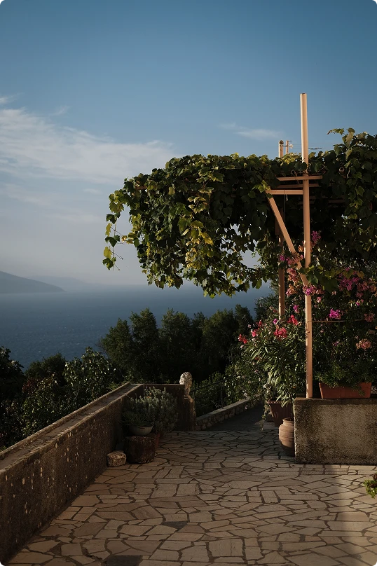 Stone-paved terrace with leafy green vines draping over a pergola and a scenic view of the sea and distant hills under a clear sky.