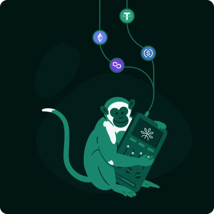 Illustration of a monkey holding a device with a screen and knobs, connected by lines to cryptocurrency icons including Ethereum, Polygon, Tether, and USD Coin.