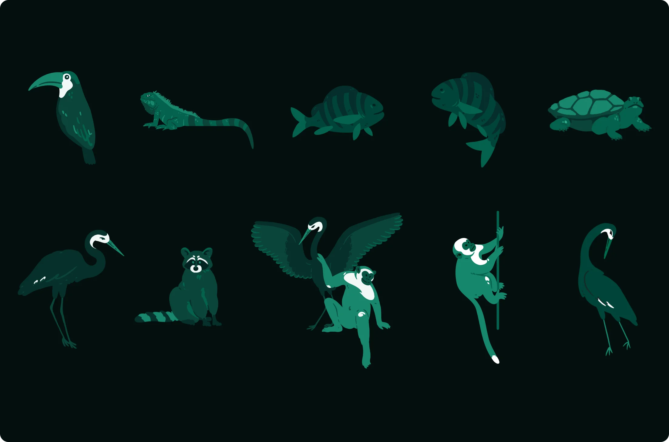 Illustrations of various animals including a toucan, iguana, two fish, turtle, heron, raccoon, crane with two monkeys, monkey climbing a pole, and another heron on black background.