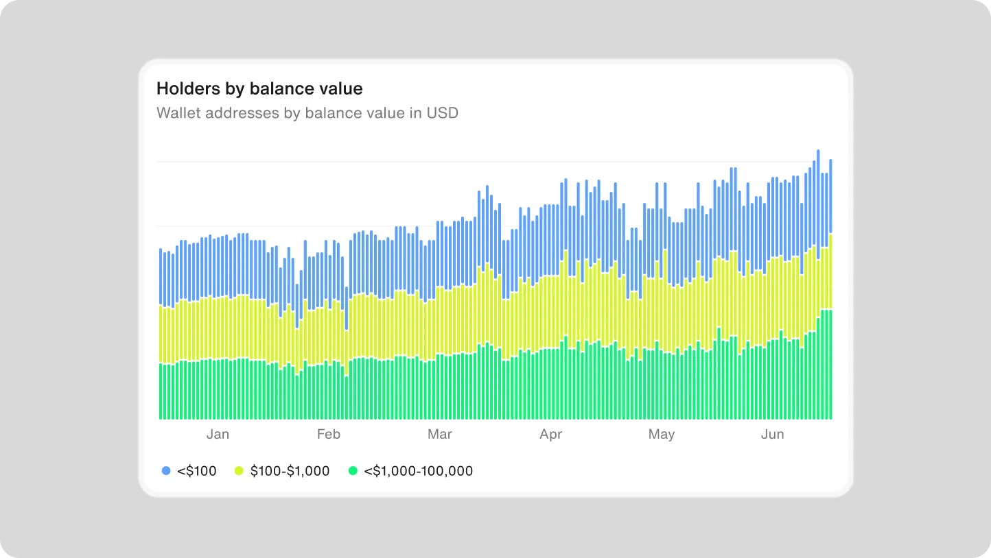 Stacked bar chart showing wallet addresses by balance value in USD from January to June, divided into three categories: under $100, $100 to $1,000, and $1,000 to $100,000.