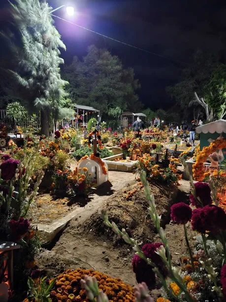 Mexico colours and patterns