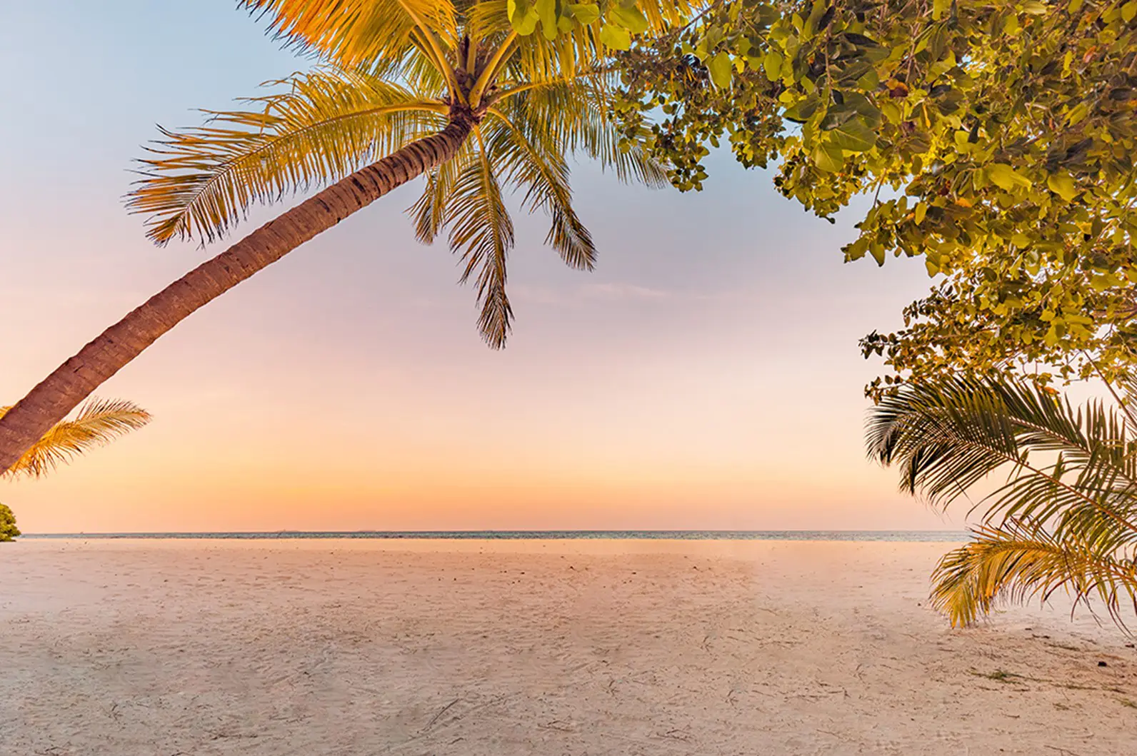 Content-Aware Fill tool (After)