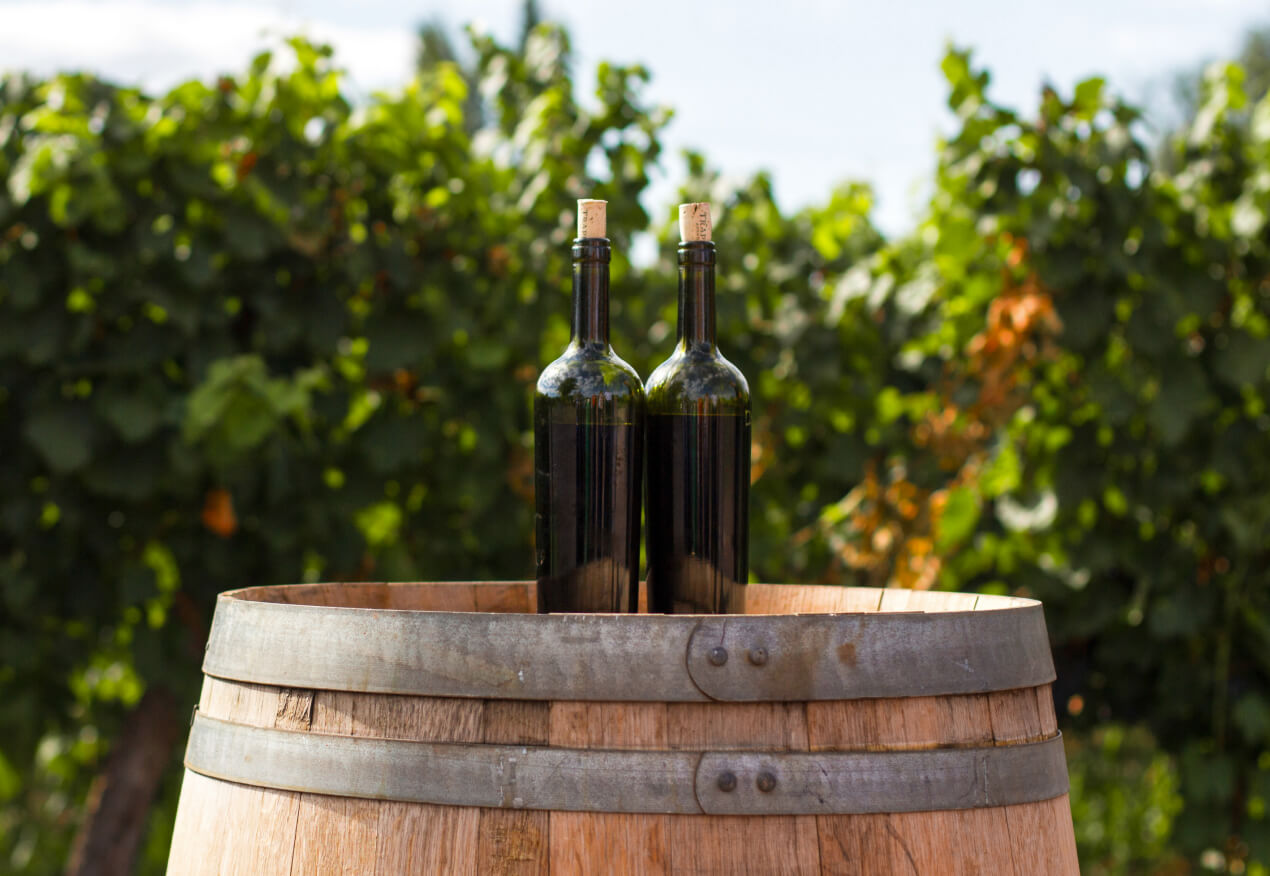 Experience Wine - Winery X Webflow Template