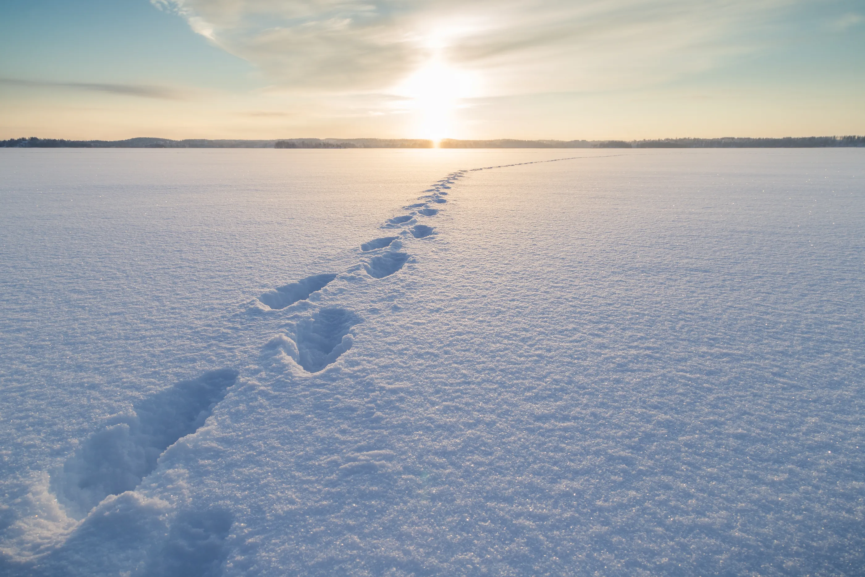 Footprints in snow lead towards a bright sunset.