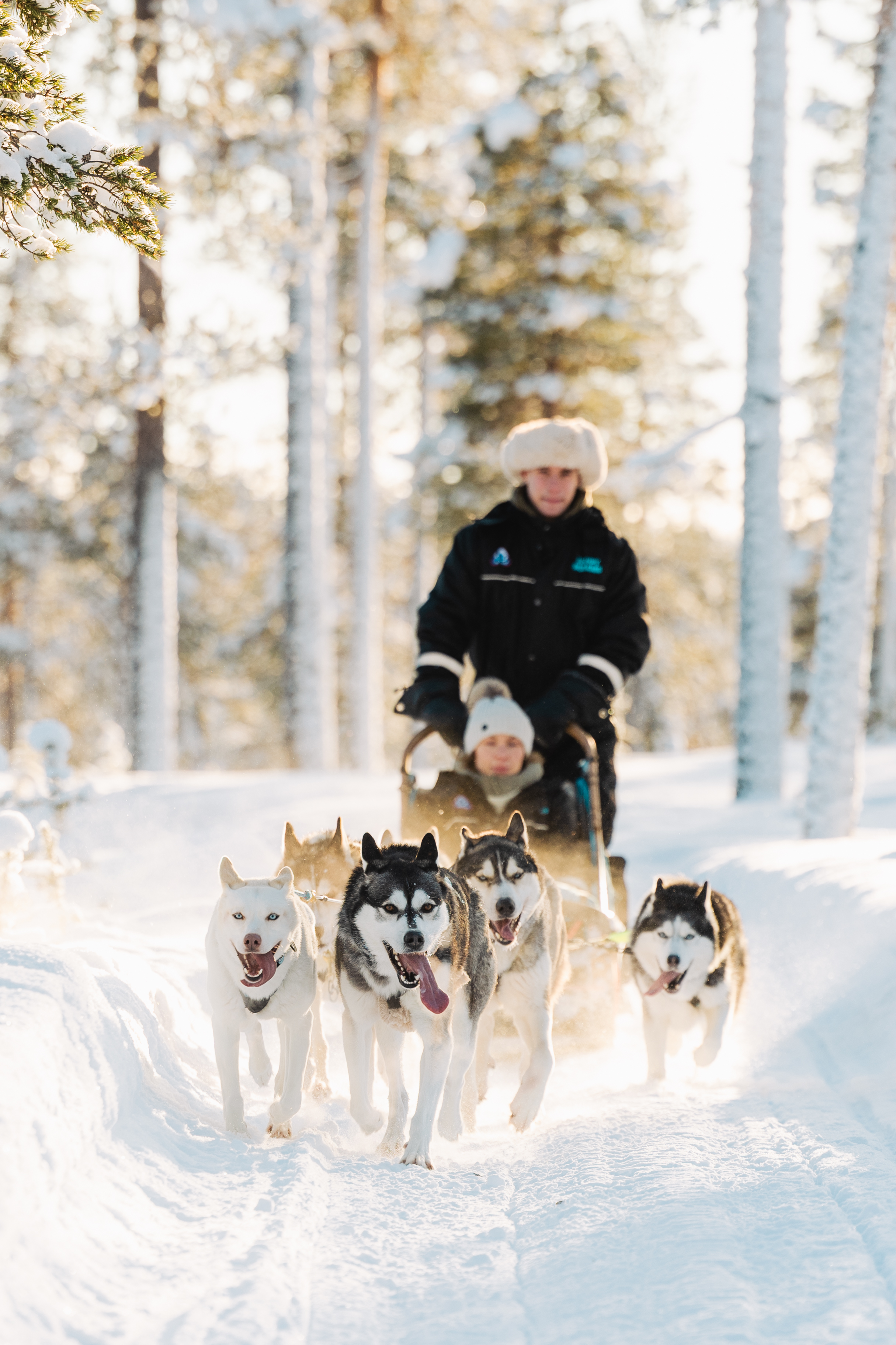 A team of five husky dogs pulls a sled with two people through a bright, snow-covered winter forest. The dogs, with various fur colors and blue eyes, run energetically on a snowy path, their tongues out. A musher in a black jacket and white fur hat steers from behind, while a passenger sits in the sled. Warm sunlight backlights the scene, creating a soft glow and illuminating the snow-laden trees.