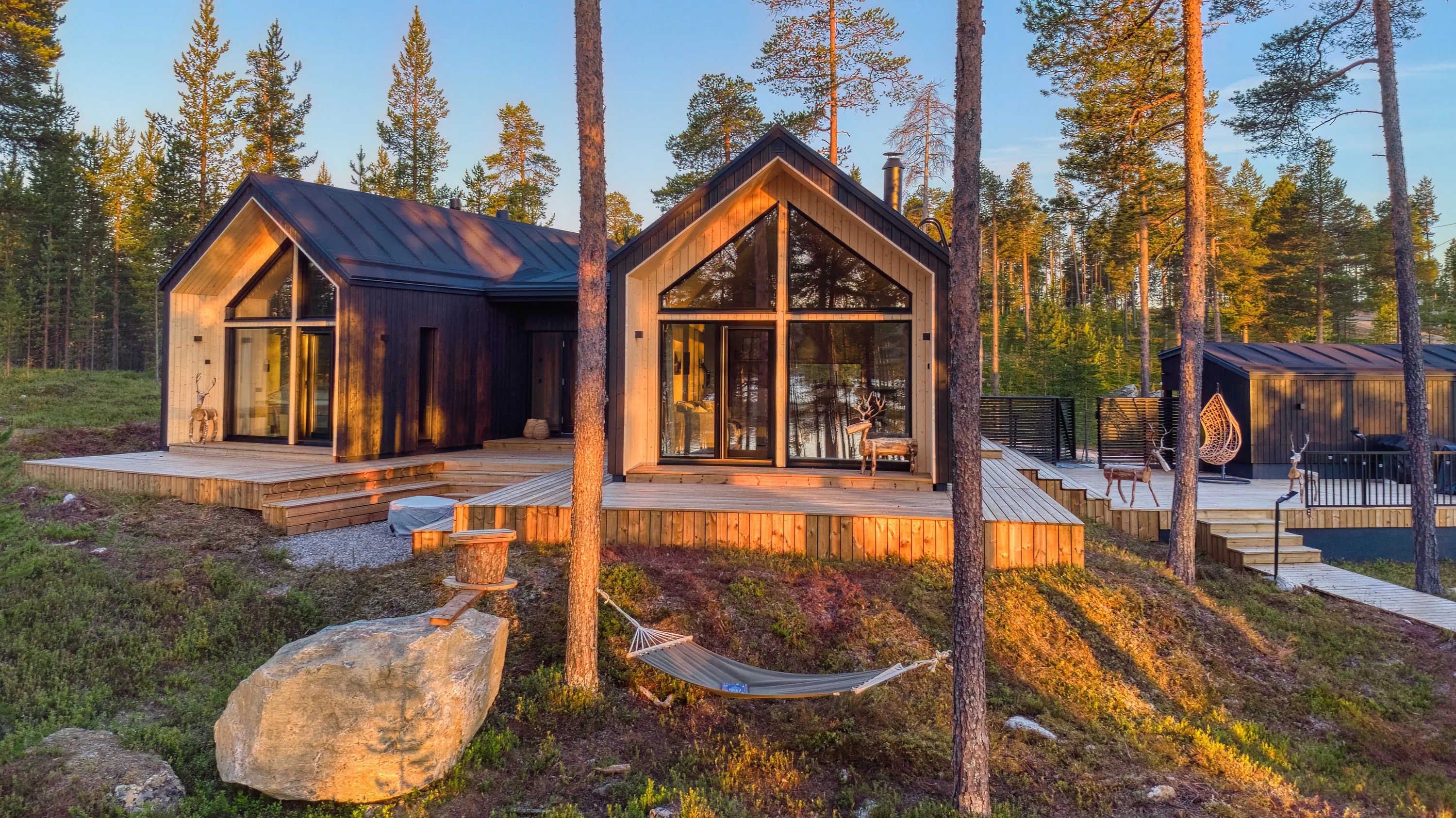 Two modern, dark-sided cabins with black roofs and light wood gables are nestled within a dense pine forest. Extensive light wooden decks connect the structures, which feature large glass windows reflecting the surrounding trees. Golden hour sunlight bathes the scene, illuminating the right sides of the tall pine trunks, the house facades, and the decks, while casting long shadows across the green and reddish-brown ground cover. A green hammock hangs between two foreground trees, near large sunlit boulders and a wooden stump. Several carved wooden deer and a hanging egg chair furnish the outdoor deck areas.