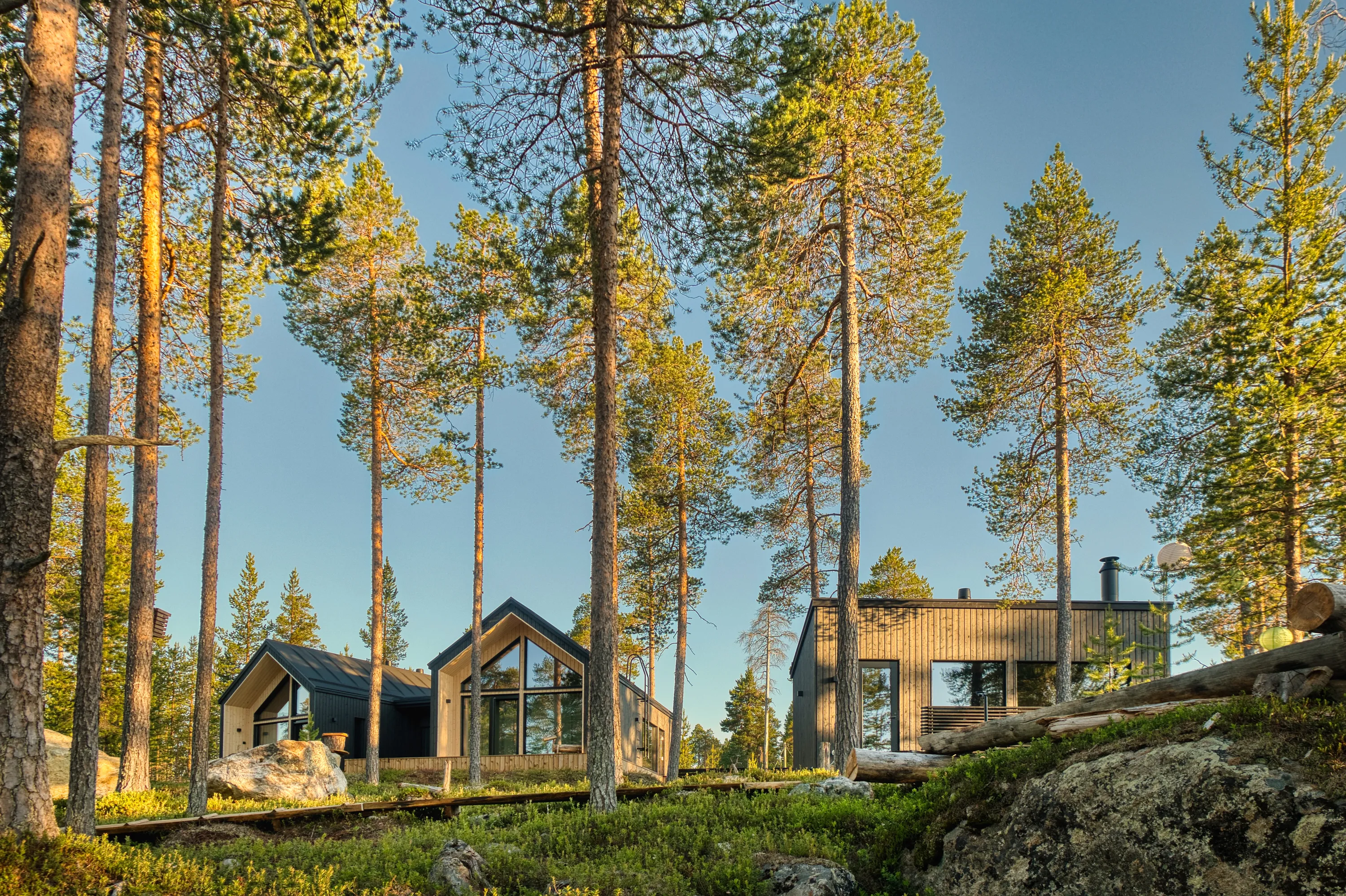 Golden sunlight illuminates tall pine trees and two modern cabins nestled in a forest. The left cabin features a dark exterior with a large triangular window, while the right cabin has light wooden siding and a black chimney. Green ground cover, large rocks, and a wooden boardwalk are visible in the foreground under a clear blue sky.