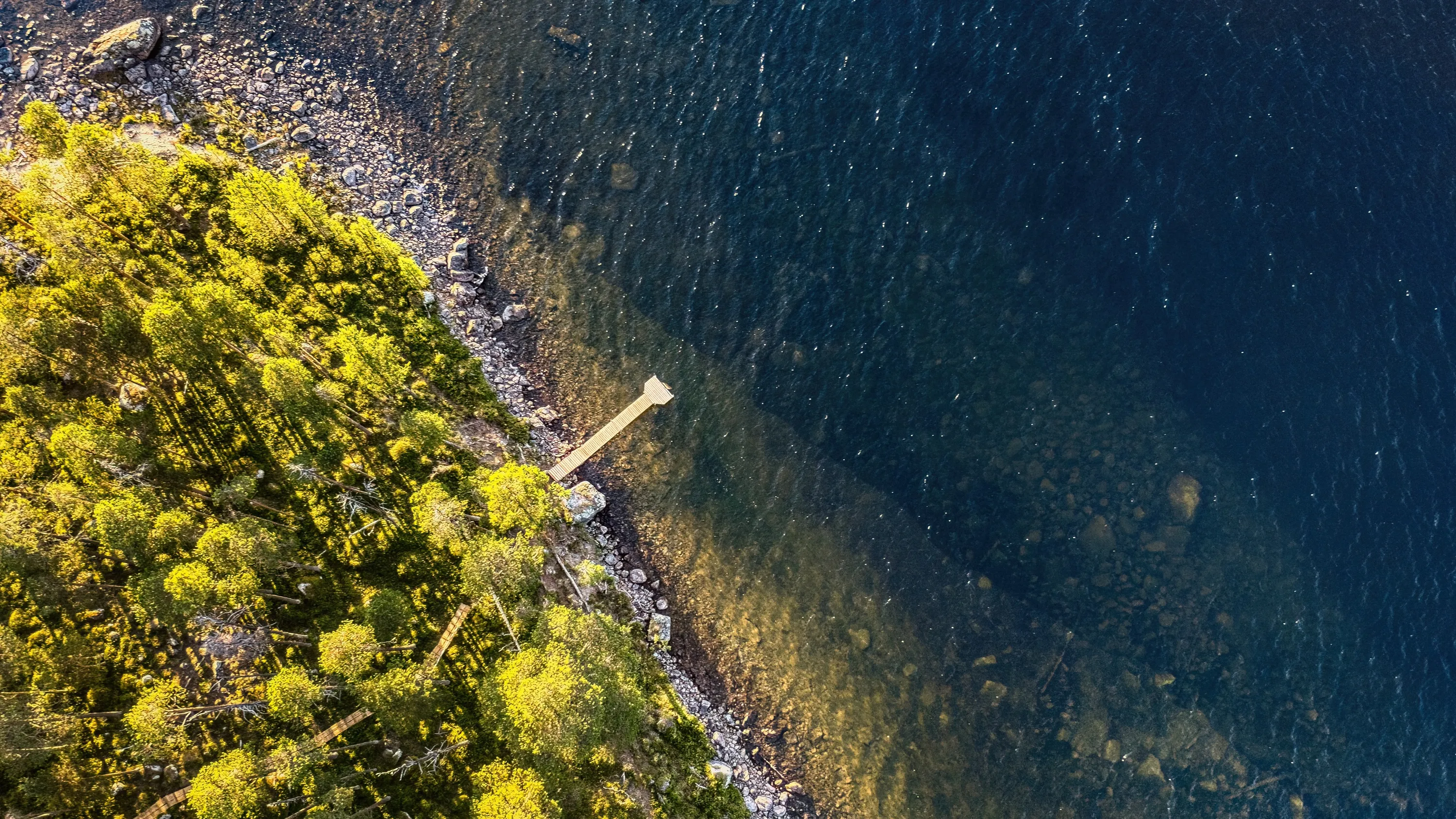 An aerial view shows a vibrant green forest bordering a rocky shoreline and dark blue water. Bright sunlight illuminates the treetops, casting long shadows across the forest floor. A wooden pier extends from the rocky beach into the clear water, revealing submerged rocks beneath the surface.