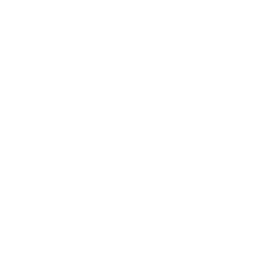 linkedin icon bigflow agency building webflow websites