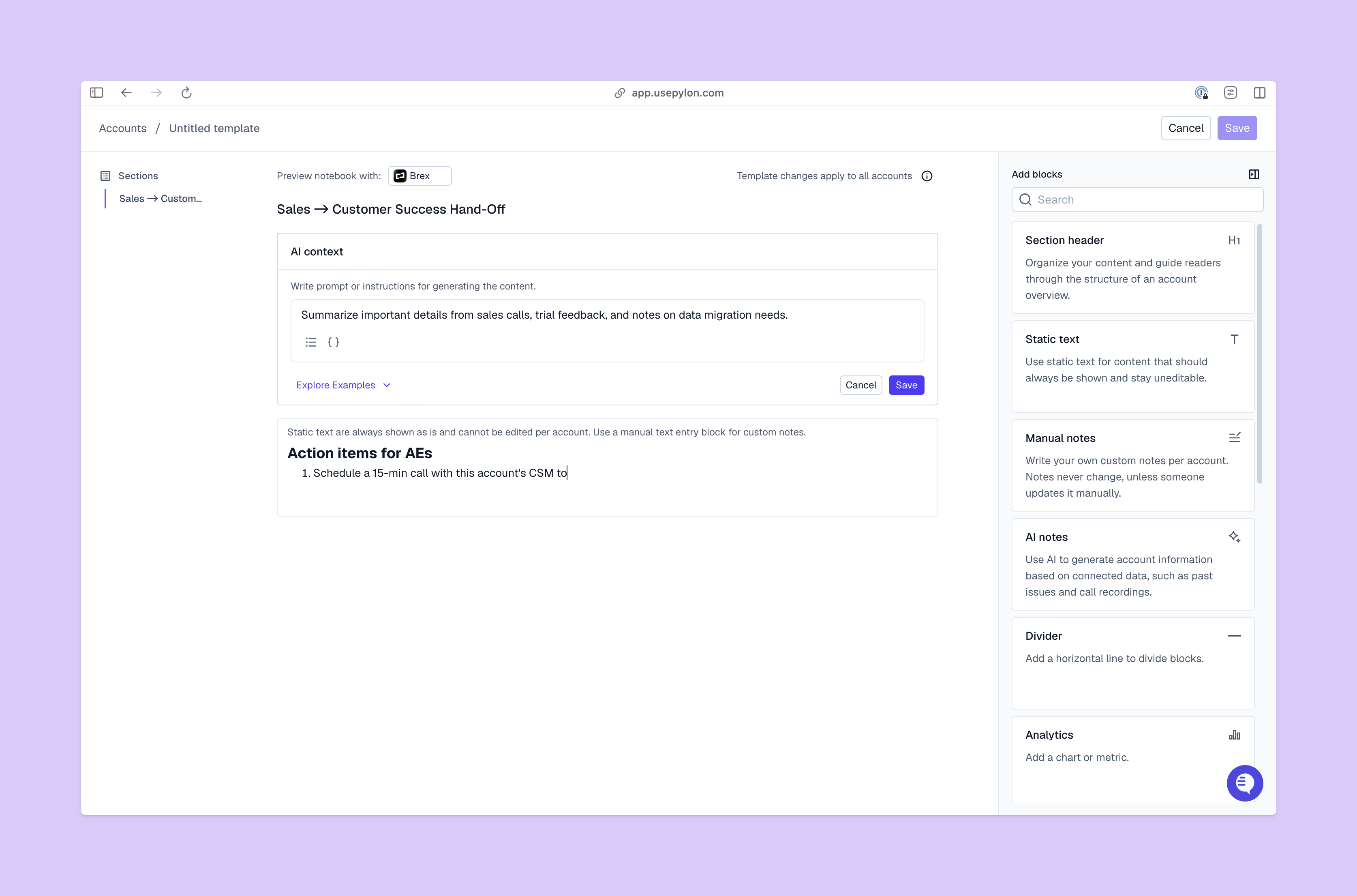 Account notebook view from Pylon platform.