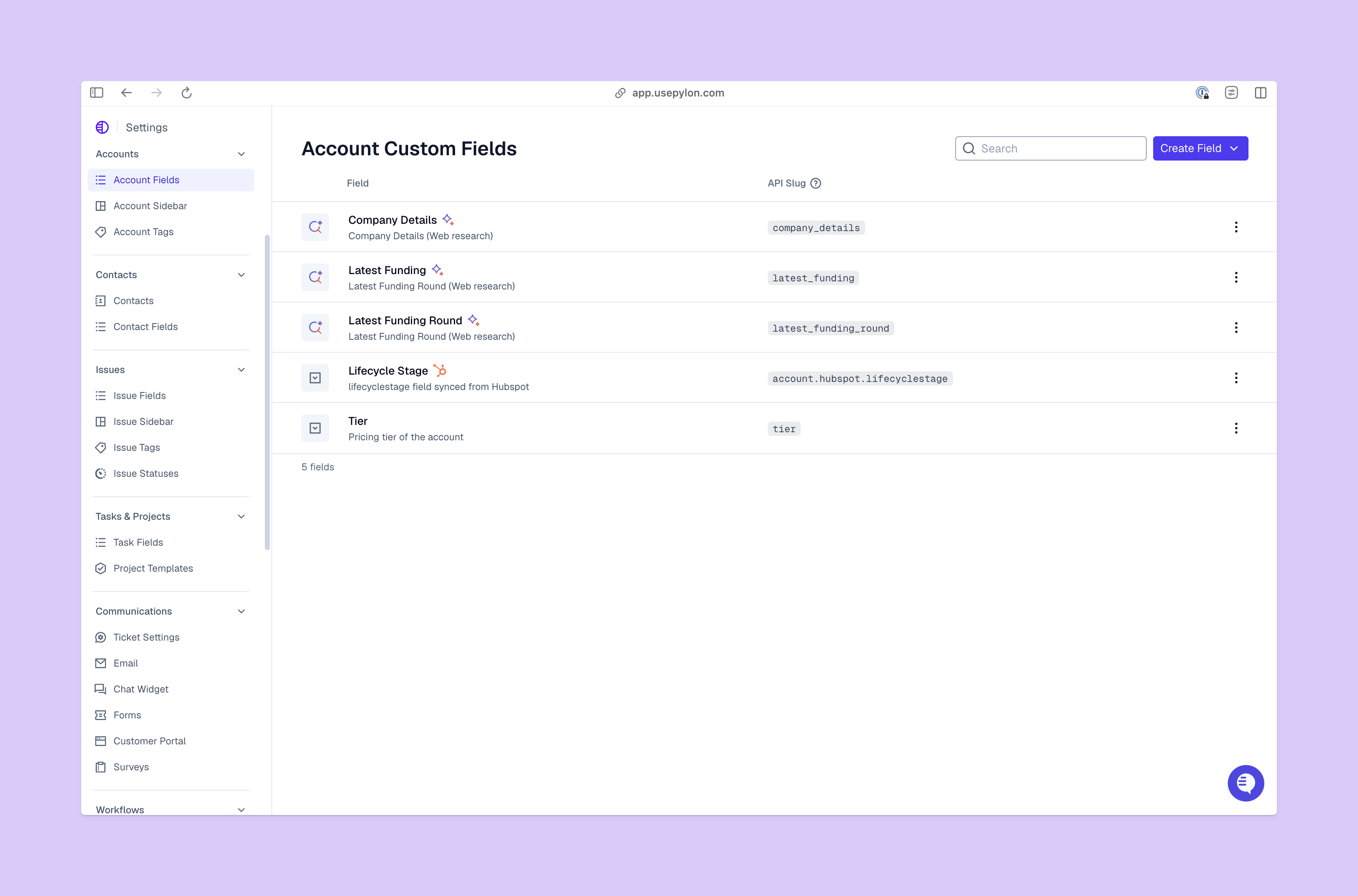 Account Custom View from Pylon Platform