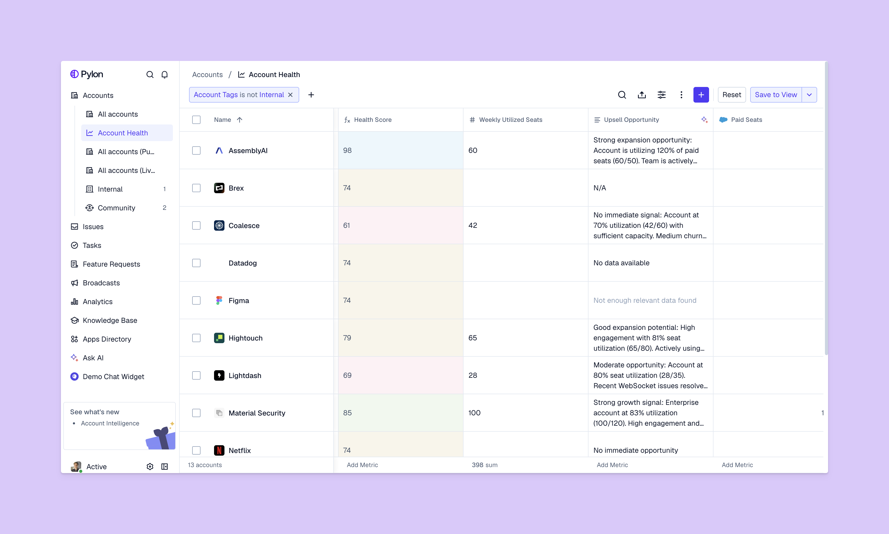 Account health view on Pylon