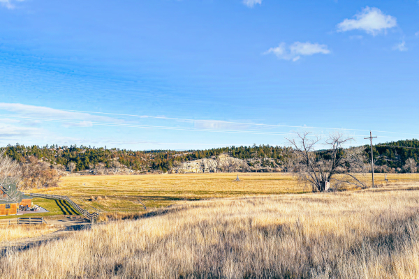 open field