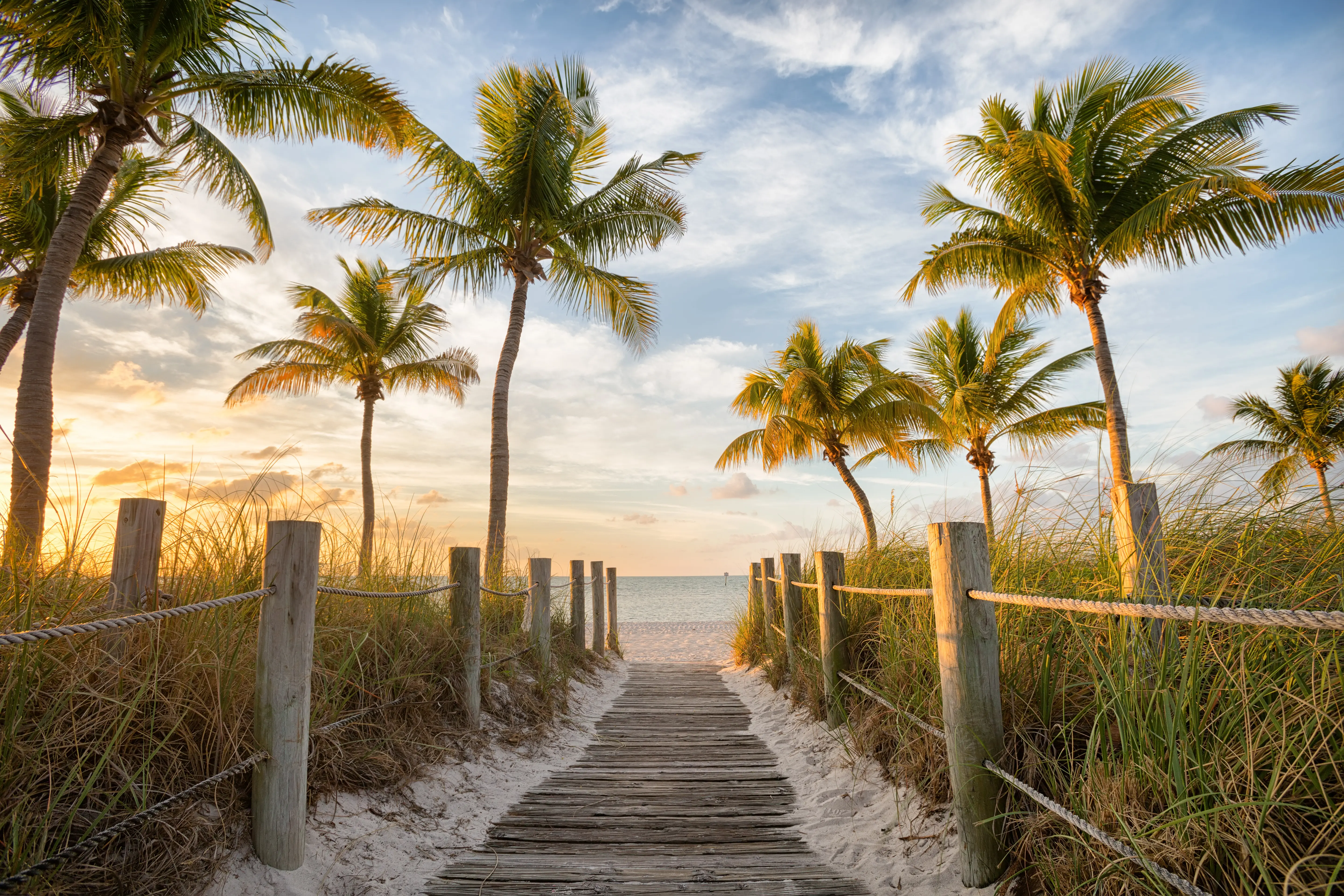 Wooden boardwalk pathway leading through sand dunes with palm trees towards a calm ocean under a partly cloudy sky at sunset.