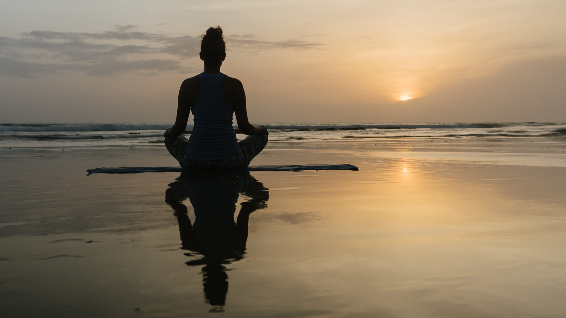 Een bospad dat zich slingert tussen frisse groene bomen. Een uitnodigende sfeer die nieuwsgierig maakt naar de inspirerende cursussen die binnenkort volgen.