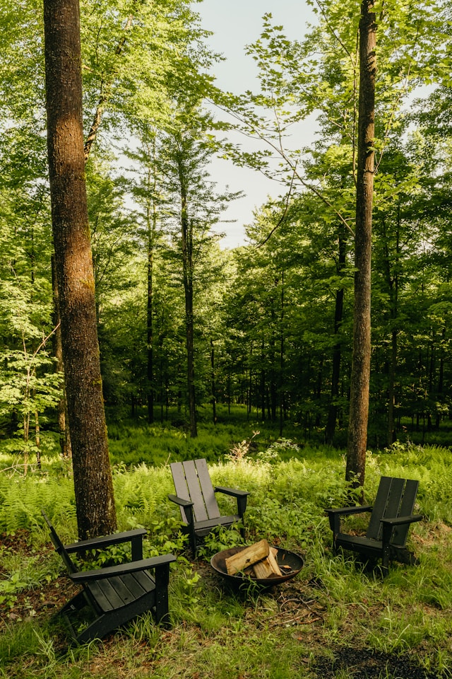Trap die omhoog voert door een groen, zonnig bos – symbool voor het innerlijke pad van groei, helderheid en stilte. Een uitnodiging om je eigen weg naar herstel en kracht te ontdekken.