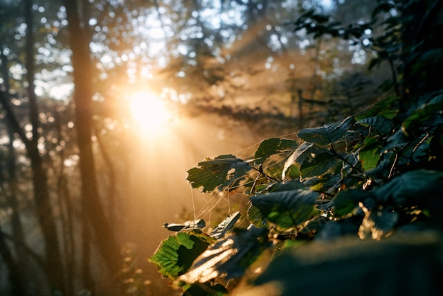 Hulpverlener schrijft in een notitieboek aan een houten tafel, symbool voor reflectie en herstel. Beeld dat uitnodigt om verder te lezen over begeleiding bij werk en persoonlijke veerkracht.