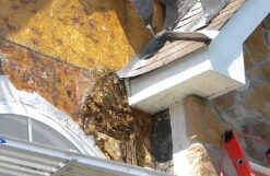 Moisture damage behind stucco