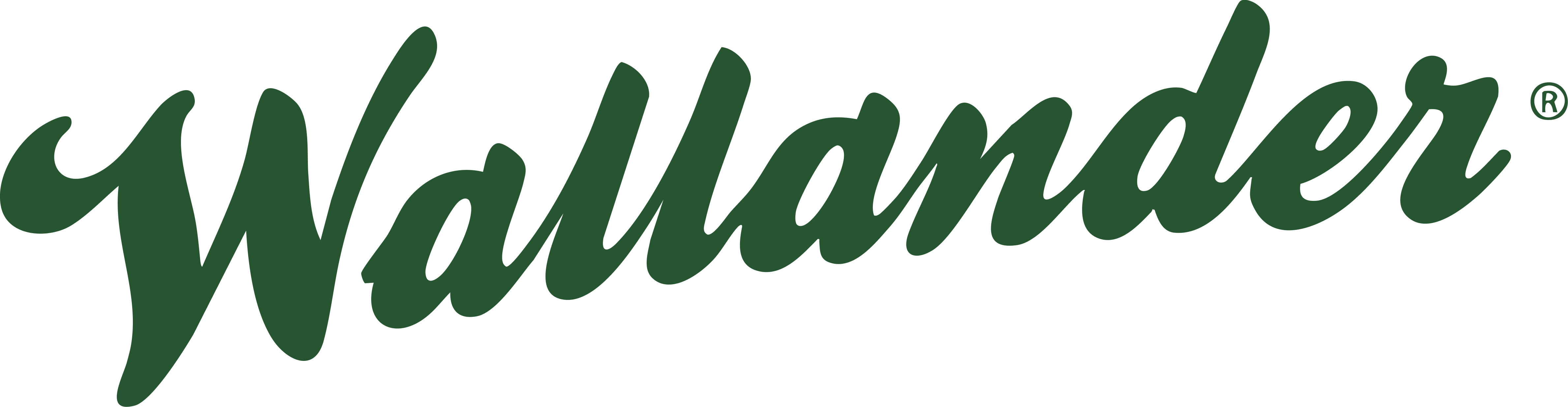Logo of Wallander