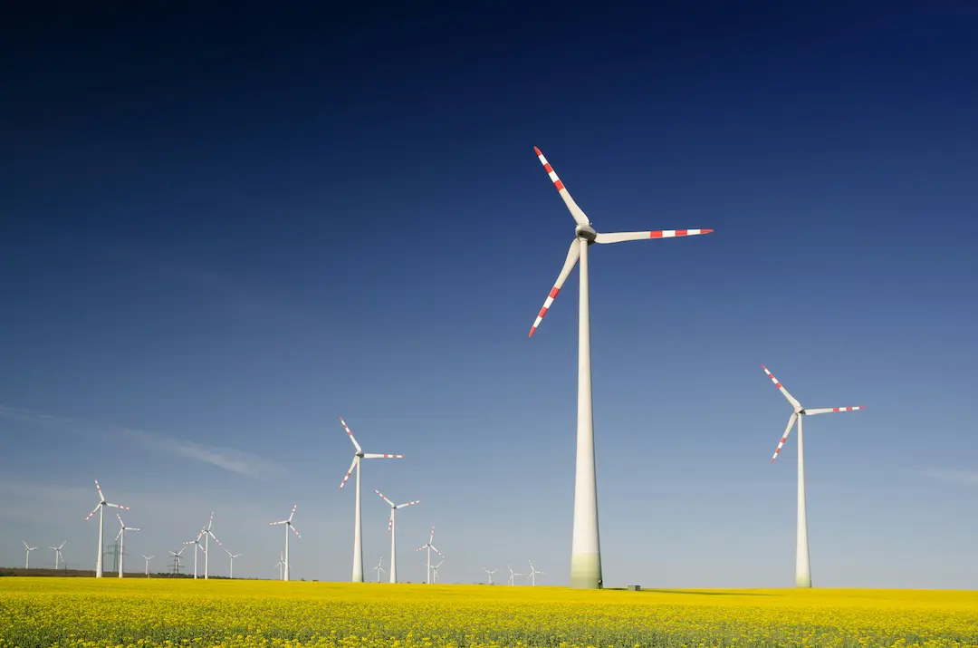 Mehrere Windkraftanlagen mit rot-weiß markierten Rotorblättern stehen in einem blühenden Rapsfeld vor tiefblauem Himmel.