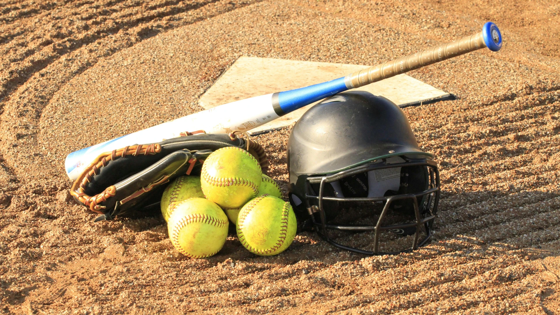 Hitting/Fielding lessons