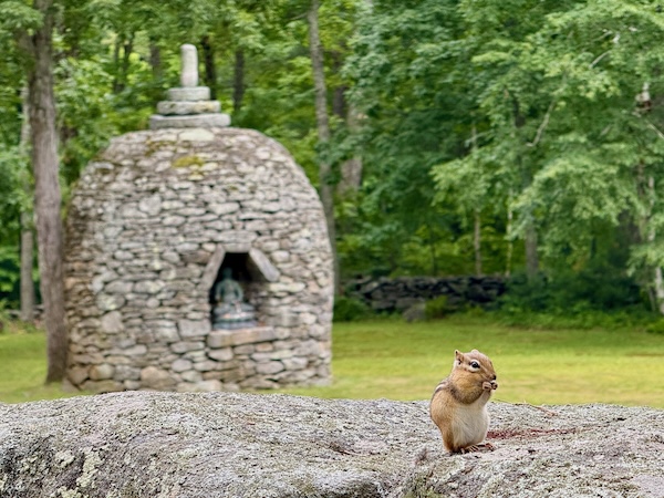 A chipmunk sits on a stone wall with its paws against its nose. Behind the wall is a stone stupa in a meadow surrounded by trees. The dome-shaped stone mound is topped by three discs and a short pillar. An irregular hexagonal opening in the stupa forms a niche in which a seated Buddha statue has been placed.
