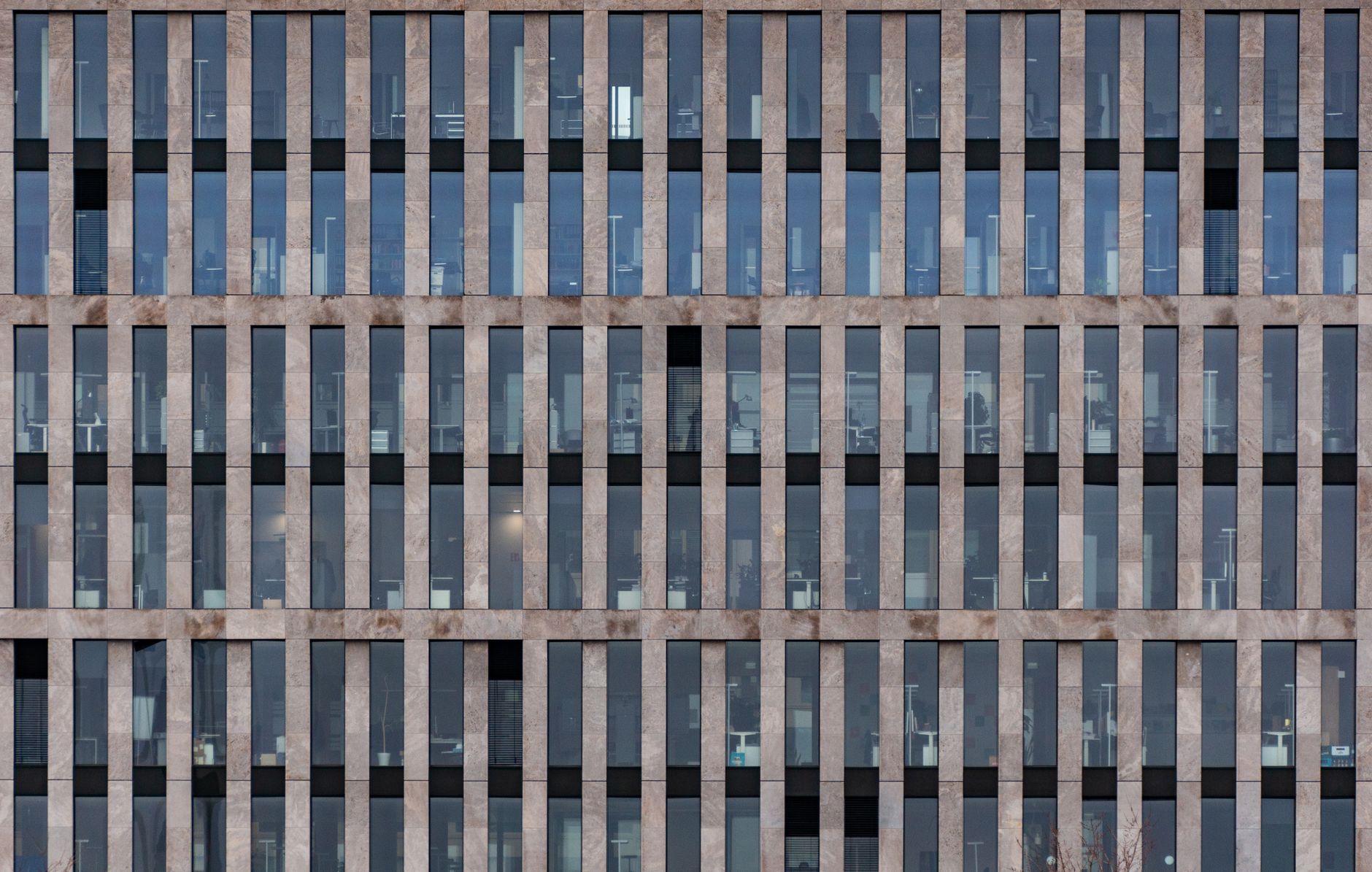 predictive occupancy modeling summary