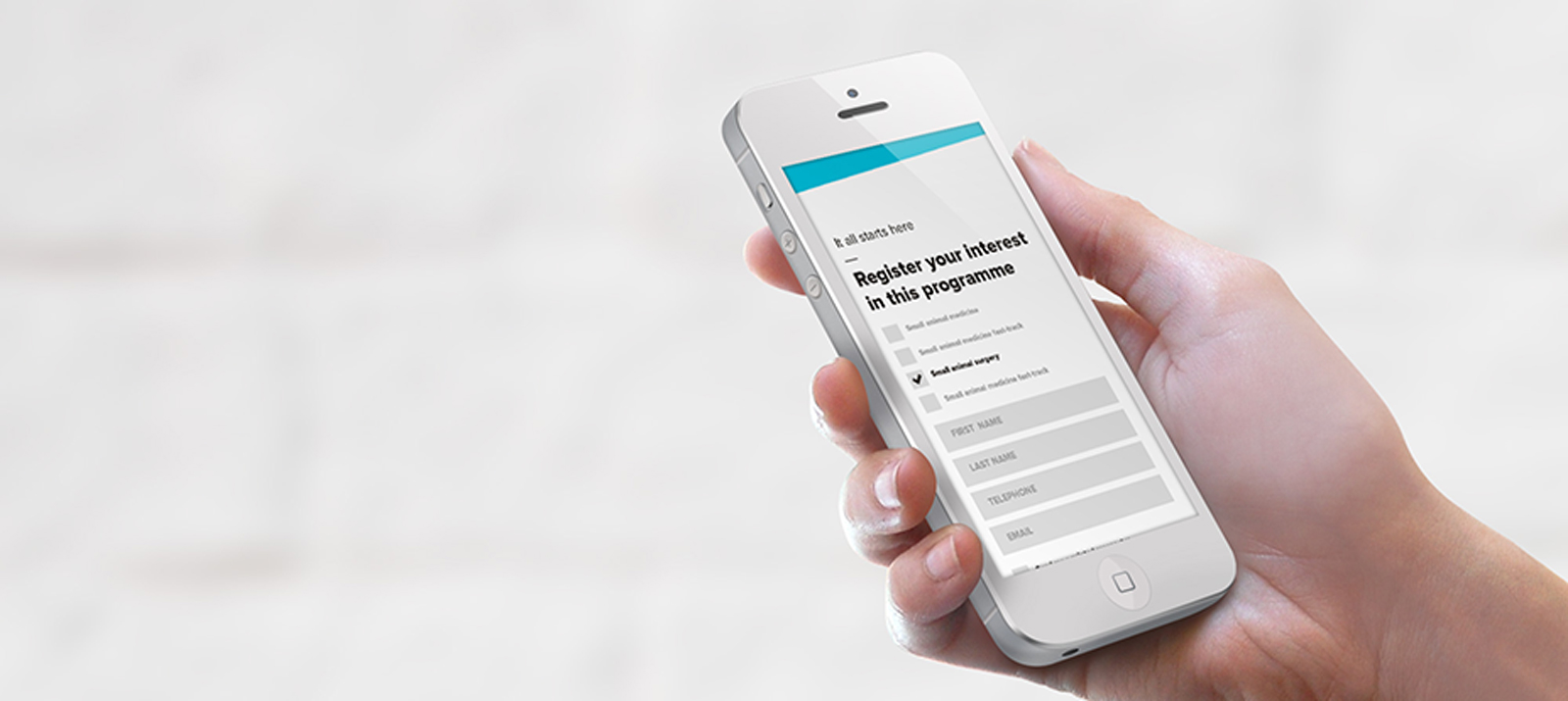 bravedog-mobile-website-design