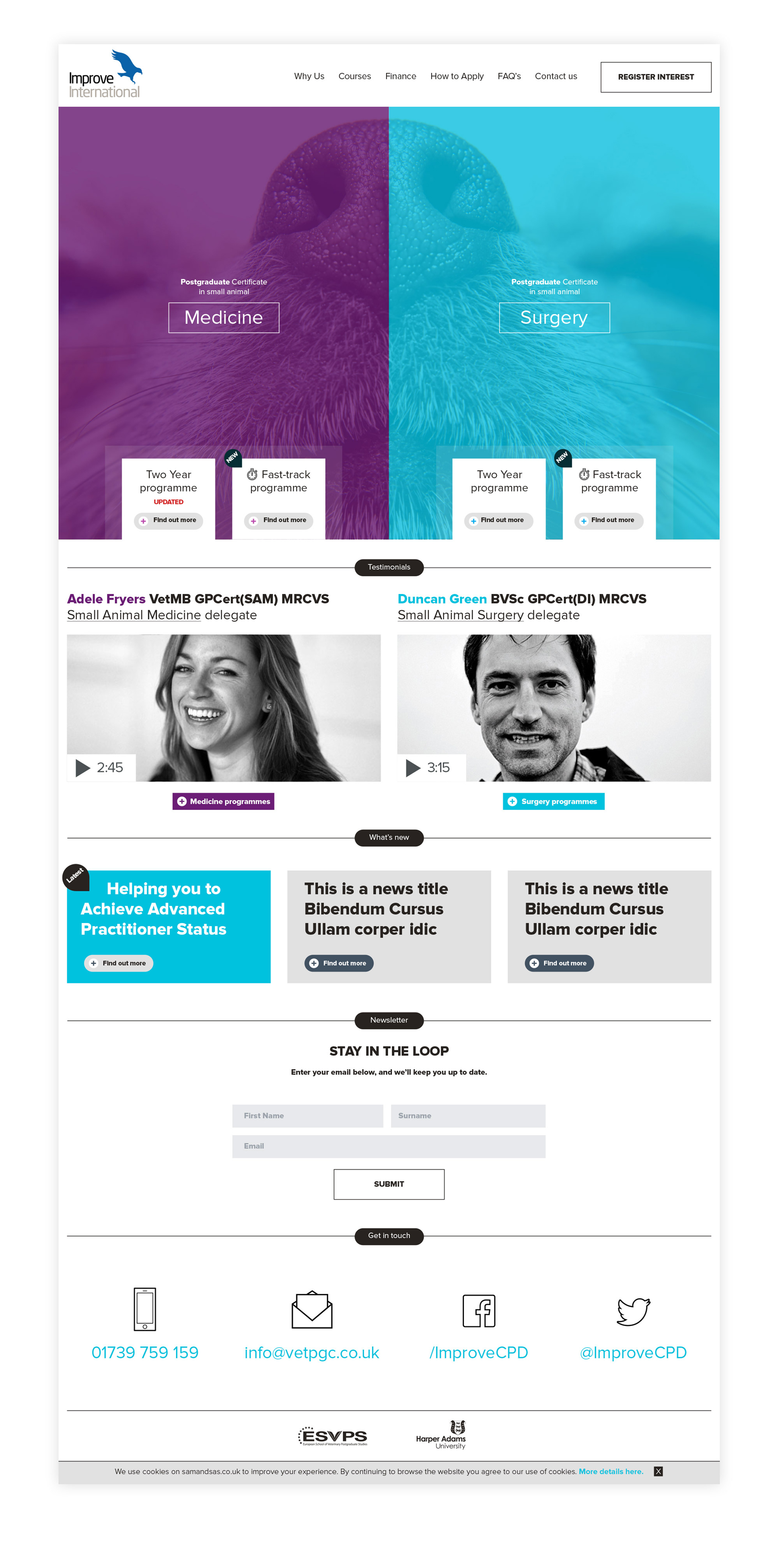 bravedog-brand-positioning-improve-international