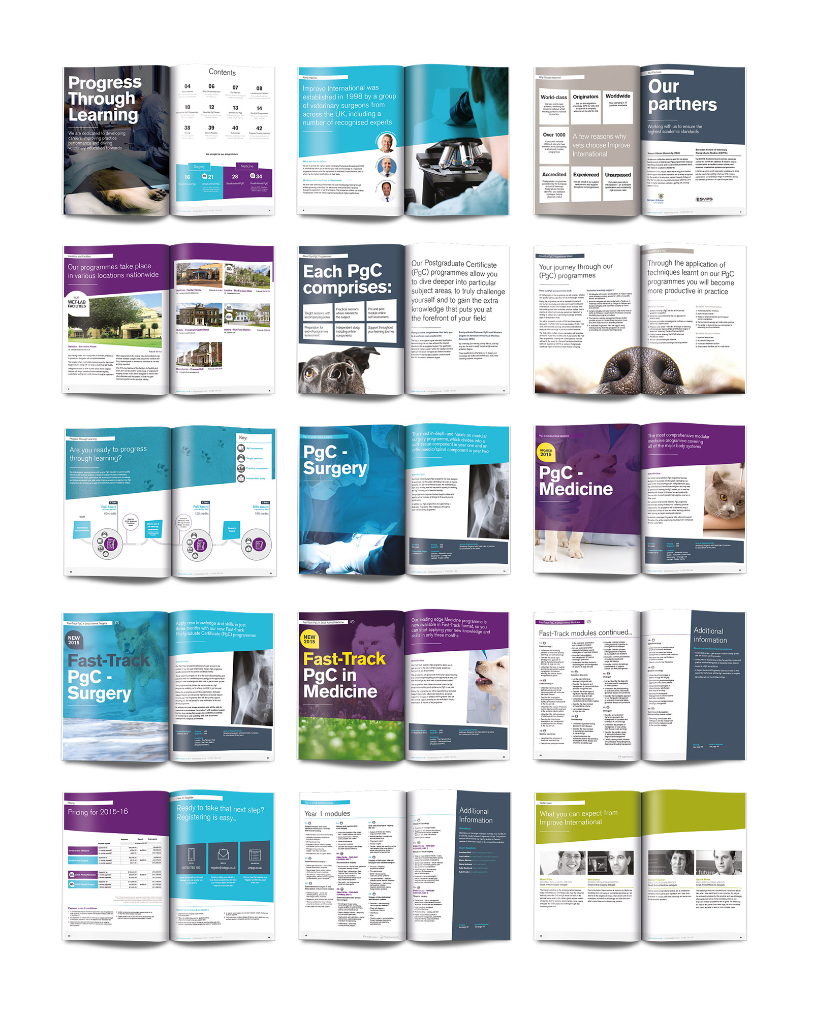 bravedog-improve-international-prospectus-design