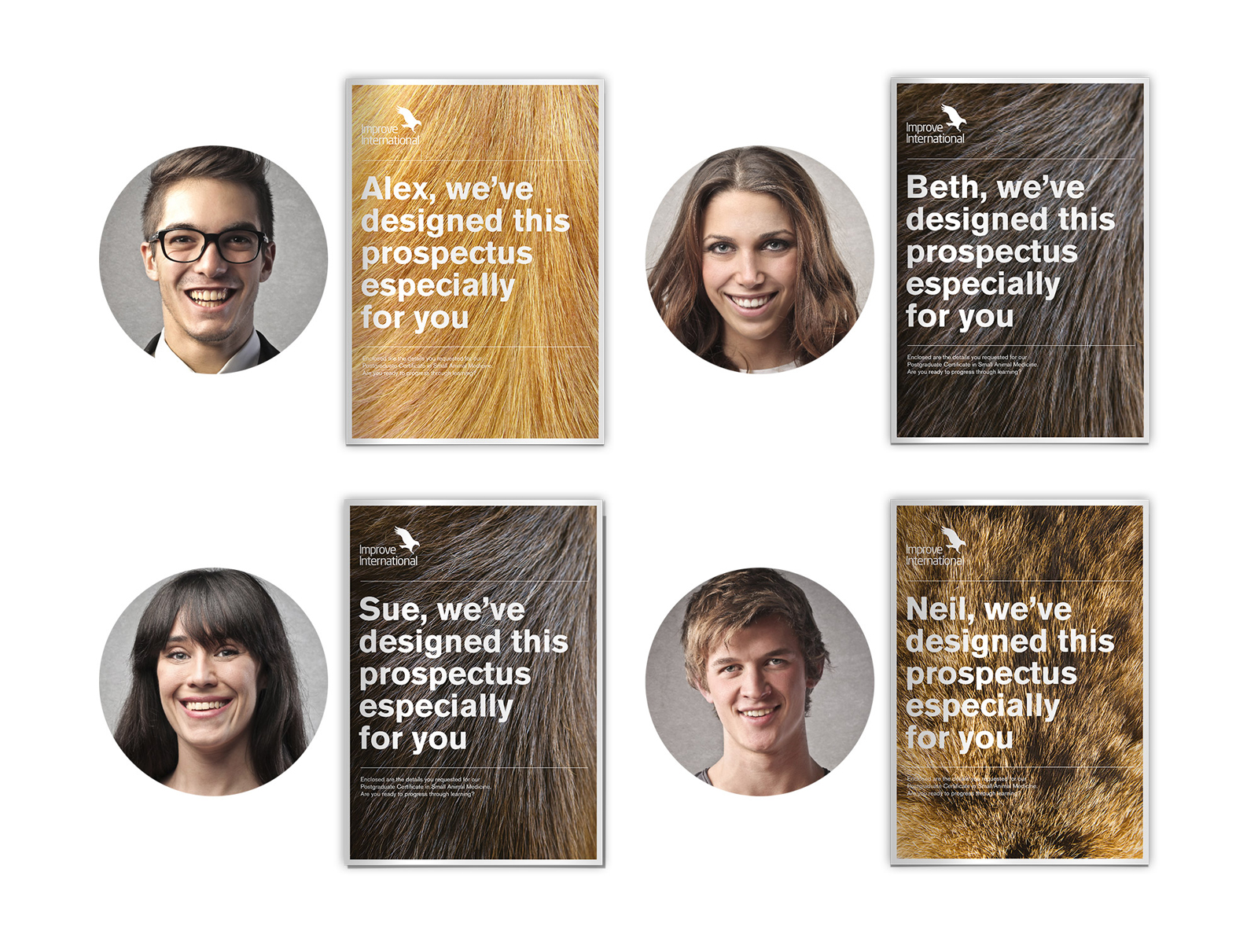bravedog-improve-international-brochure-design