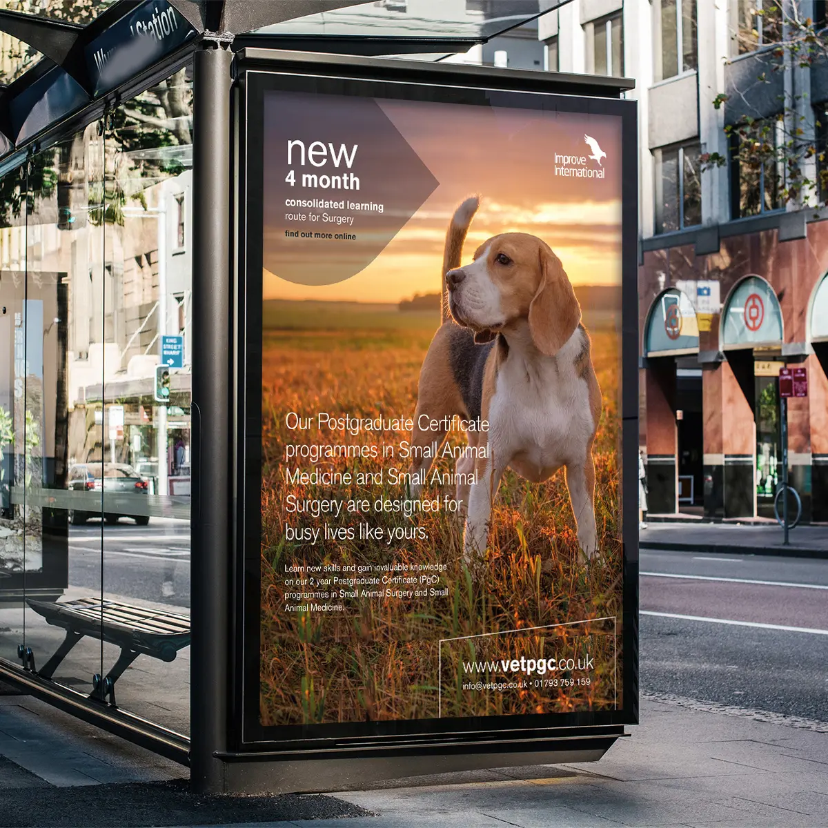 improve-international-advertising-design-swindon-bravedog