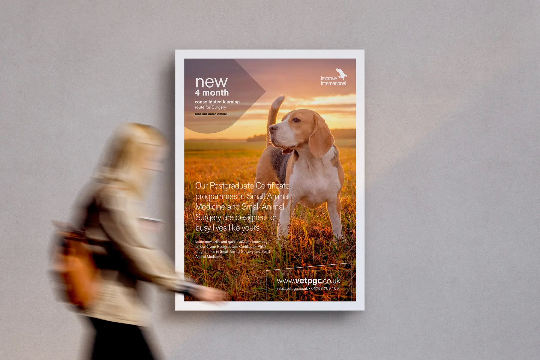improve-international-graphic-design-swindon-bravedog
