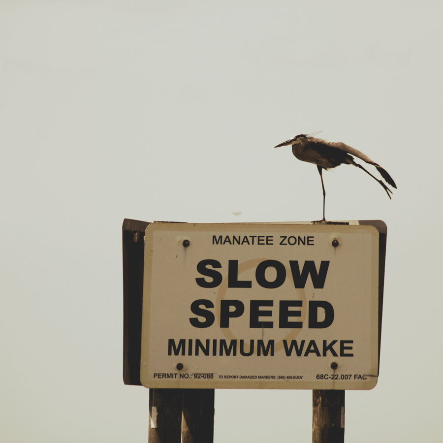 Website design performance and loading speed concept