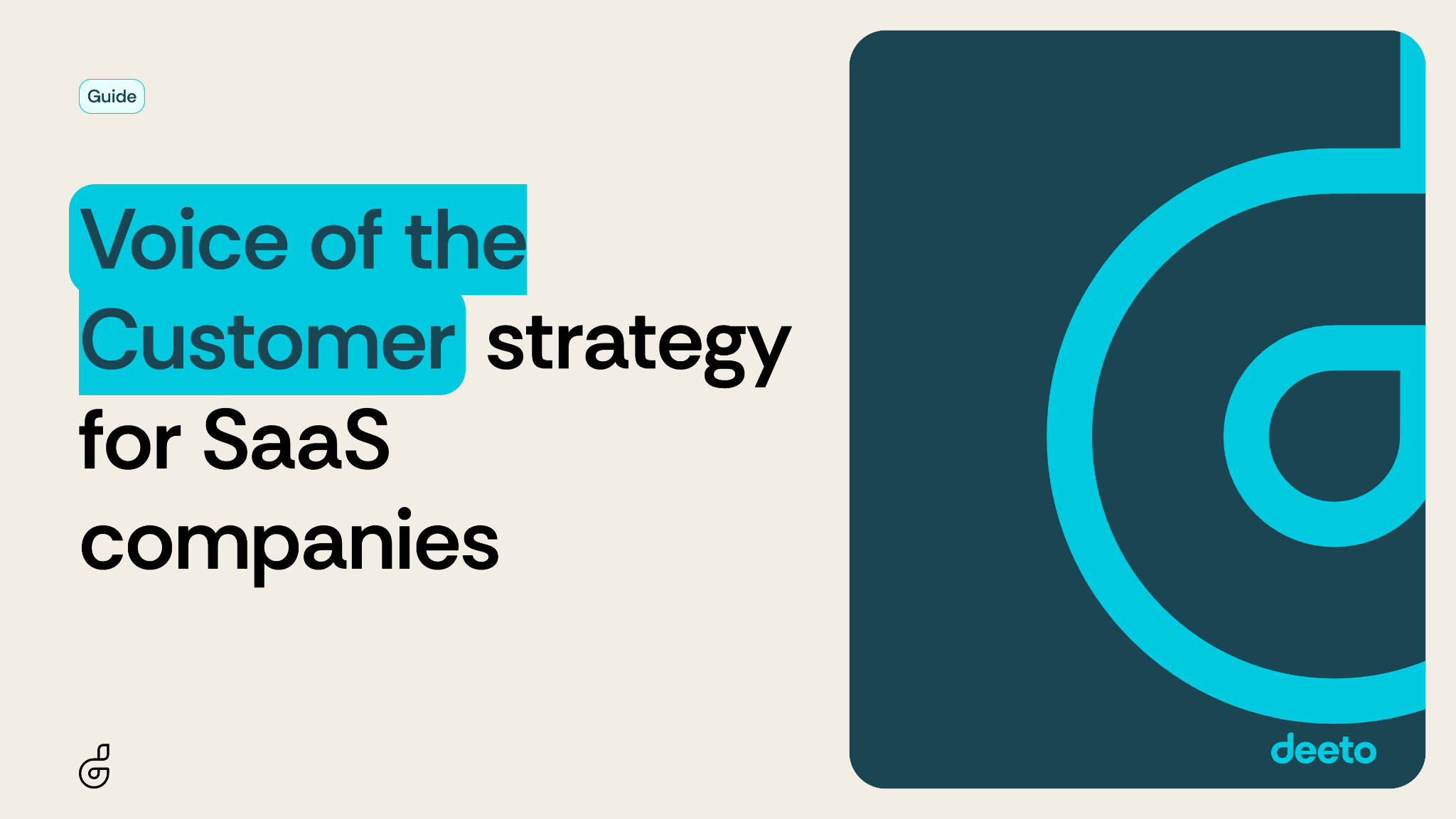 Voice of the Customer strategy for SaaS companies