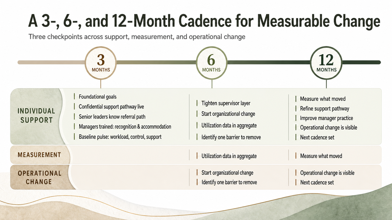 Visualize the CDC Impact Wellbeing Guide's 3/6/12-month cadence described in the section as a horizontal timeline, since this is a cited operating plan with specific milestones in the prose