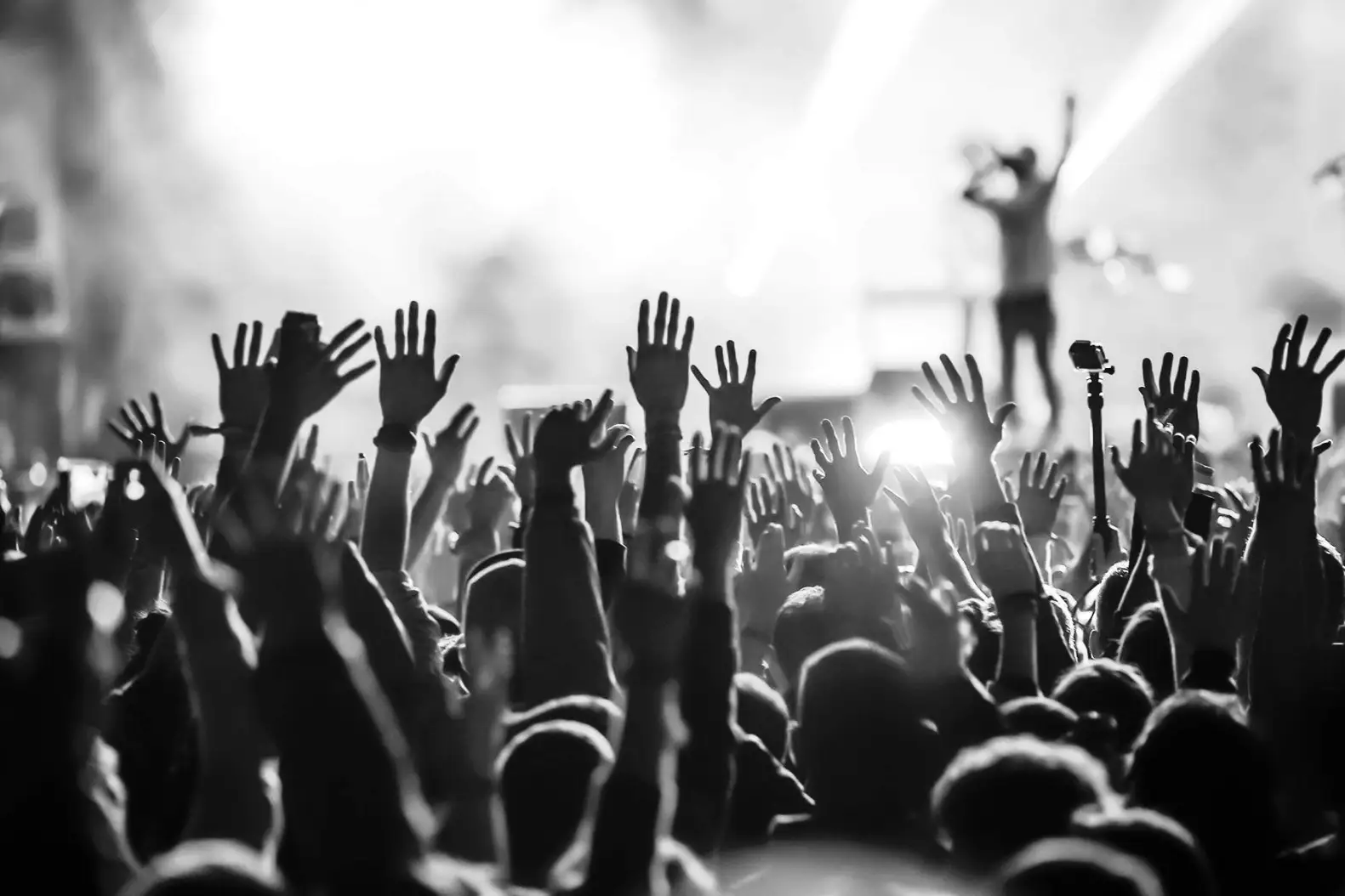 image of musician performing live