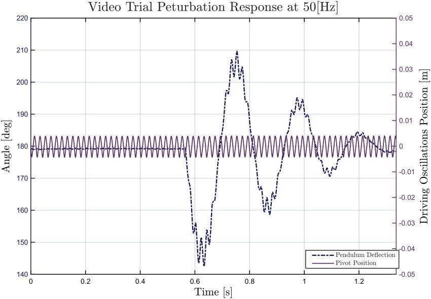 Figure displaying pendulum deflection angle over the entirety of the 50 Hz trial. Pivot position is also plotted to visualize the fast motion of the pendulum.