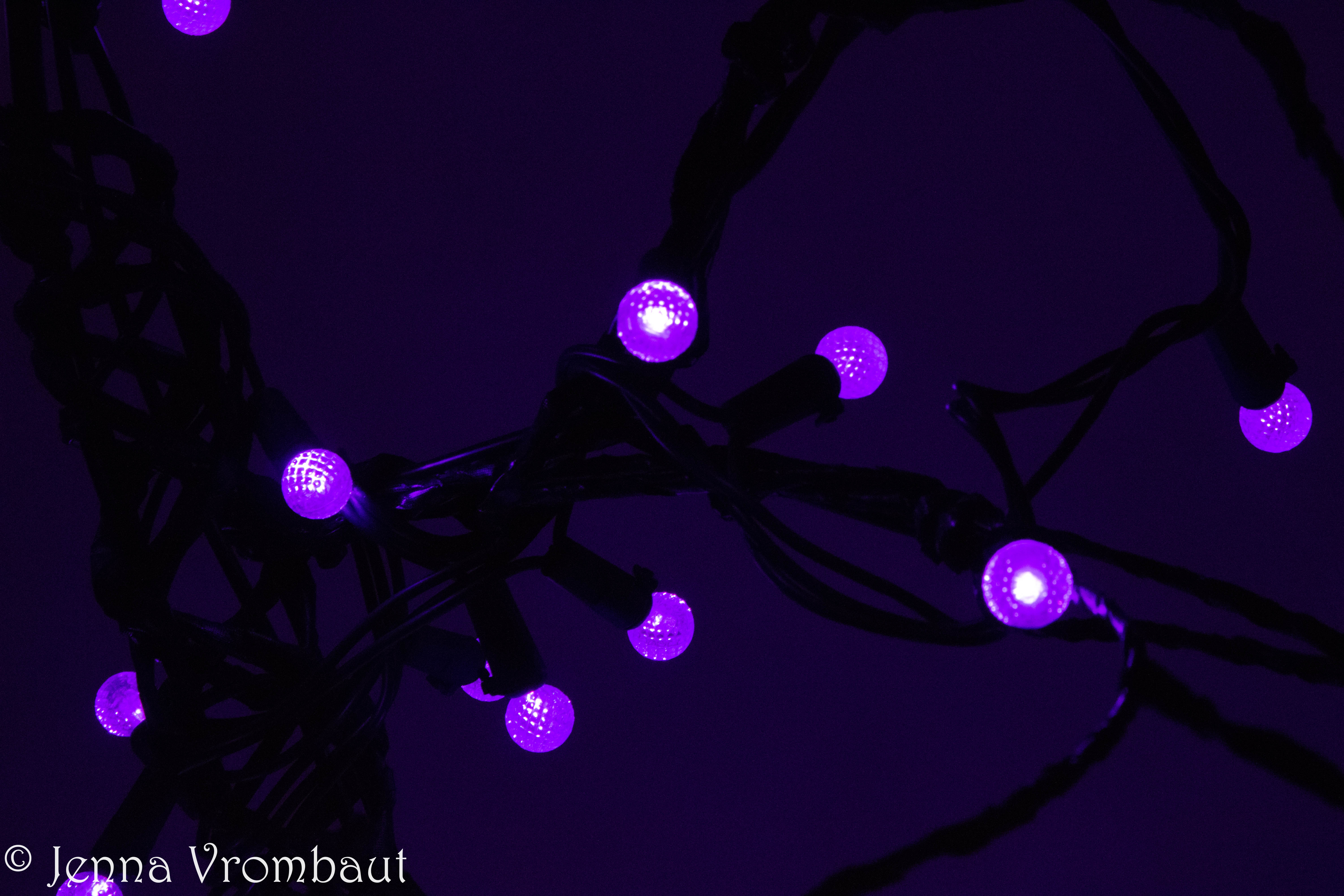 [interface] image of a computer showcasing educational software (for a edtech)